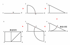 黄金分割